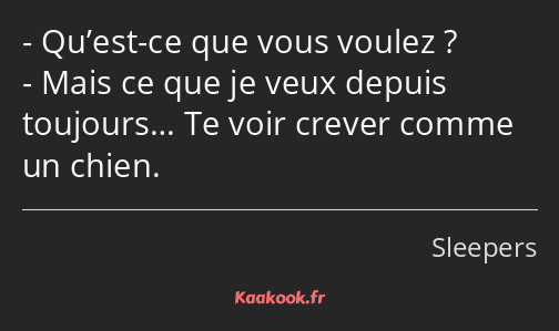 Qu’est-ce que vous voulez ? Mais ce que je veux depuis toujours… Te voir crever comme un chien.