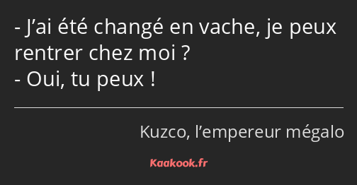 J’ai été changé en vache, je peux rentrer chez moi ? Oui, tu peux !