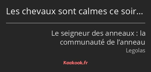 Les chevaux sont calmes ce soir…