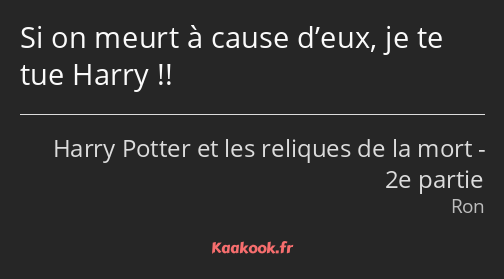 Si on meurt à cause d’eux, je te tue Harry !!