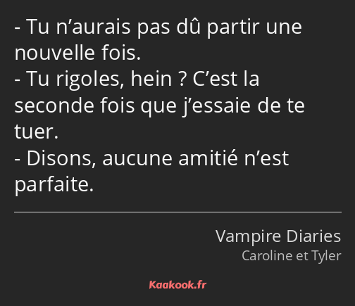 Tu n’aurais pas dû partir une nouvelle fois. Tu rigoles, hein ? C’est la seconde fois que j’essaie…