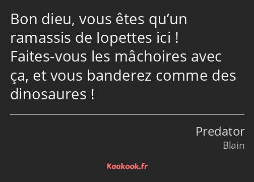 Bon dieu, vous êtes qu’un ramassis de lopettes ici ! Faites-vous les mâchoires avec ça, et vous…