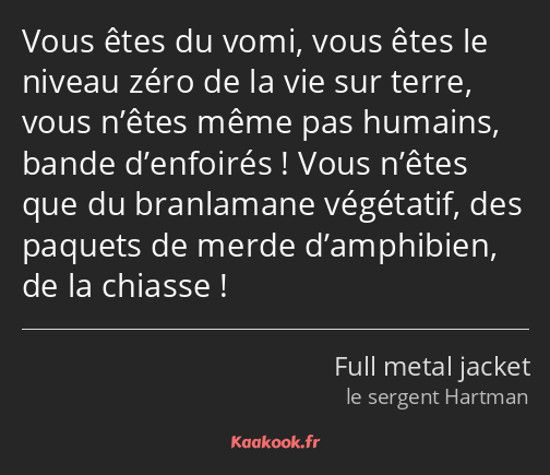 Vous êtes du vomi, vous êtes le niveau zéro de la vie sur terre, vous n’êtes même pas humains…