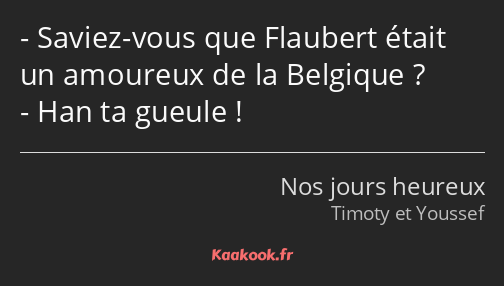 Saviez-vous que Flaubert était un amoureux de la Belgique ? Han ta gueule !
