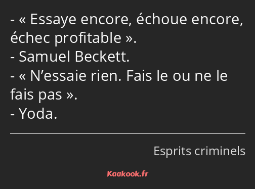 Essaye encore, échoue encore, échec profitable. Samuel Beckett. N’essaie rien. Fais le ou ne le…