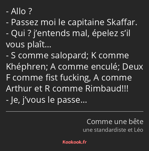 Allo ? Passez moi le capitaine Skaffar. Qui ? j’entends mal, épelez s’il vous plaît… S comme…