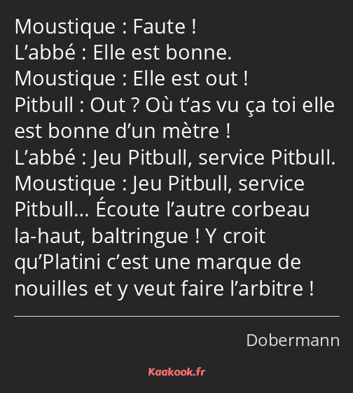 Faute ! Elle est bonne. Elle est out ! Out ? Où t’as vu ça toi elle est bonne d’un mètre ! Jeu…