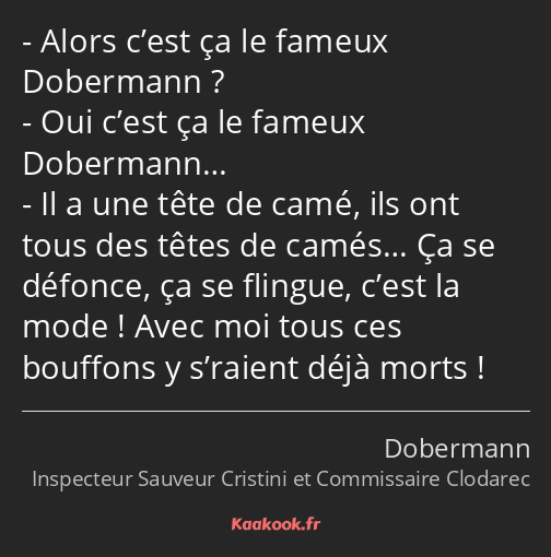 Alors c’est ça le fameux Dobermann ? Oui c’est ça le fameux Dobermann… Il a une tête de camé, ils…