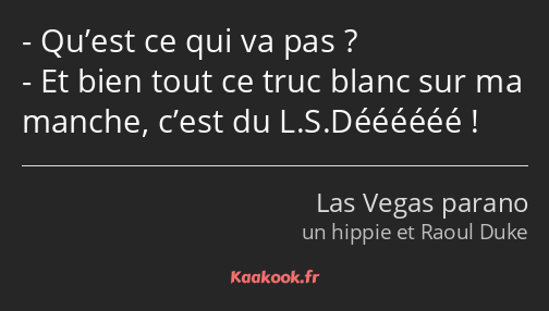 Qu’est ce qui va pas ? Et bien tout ce truc blanc sur ma manche, c’est du L.S.Déééééé !