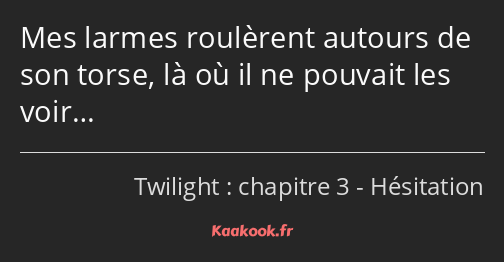 Mes larmes roulèrent autours de son torse, là où il ne pouvait les voir…