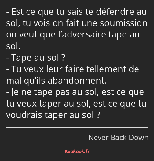 Est ce que tu sais te défendre au sol, tu vois on fait une soumission on veut que l’adversaire tape…