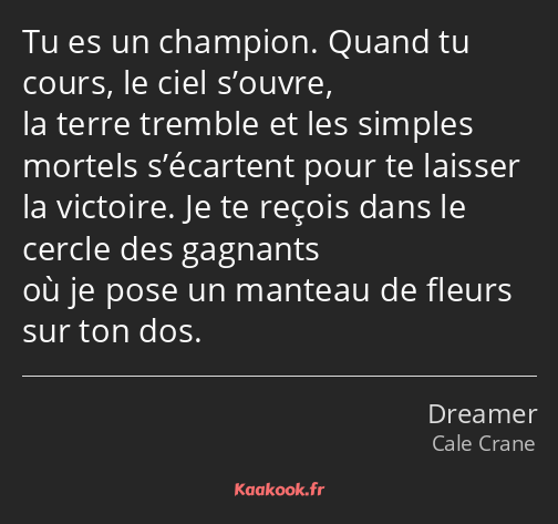 Tu es un champion. Quand tu cours, le ciel s’ouvre, la terre tremble et les simples mortels…