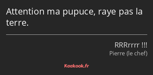 Attention ma pupuce, raye pas la terre.