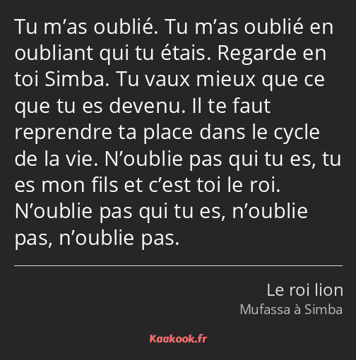 Tu m’as oublié. Tu m’as oublié en oubliant qui tu étais. Regarde en toi Simba. Tu vaux mieux que ce…