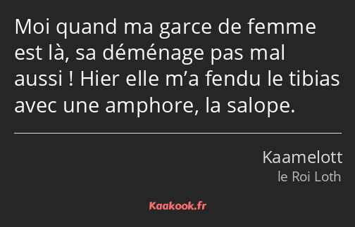 Moi quand ma garce de femme est là, sa déménage pas mal aussi ! Hier elle m’a fendu le tibias avec…