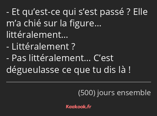 Et qu’est-ce qui s’est passé ? Elle m’a chié sur la figure… littéralement… Littéralement ? Pas…