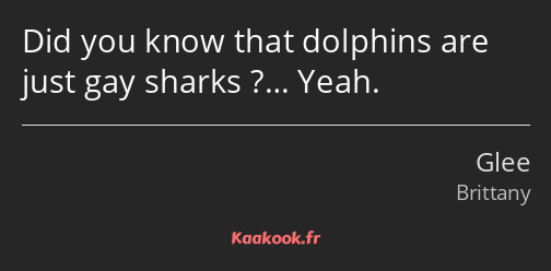 Did you know that dolphins are just gay sharks ?… Yeah.