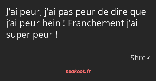 J’ai peur, j’ai pas peur de dire que j’ai peur hein ! Franchement j’ai super peur !