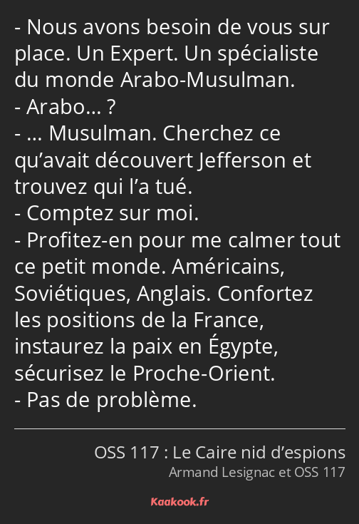 Nous avons besoin de vous sur place. Un Expert. Un spécialiste du monde Arabo-Musulman. Arabo… ? ……