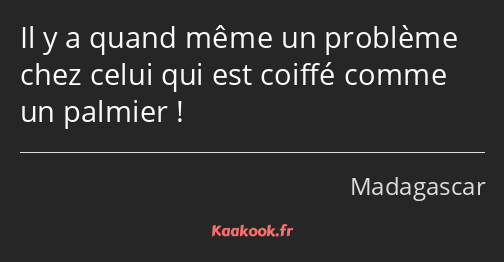 Il y a quand même un problème chez celui qui est coiffé comme un palmier !