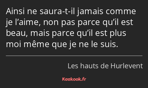 Ainsi ne saura-t-il jamais comme je l’aime, non pas parce qu’il est beau, mais parce qu’il est plus…