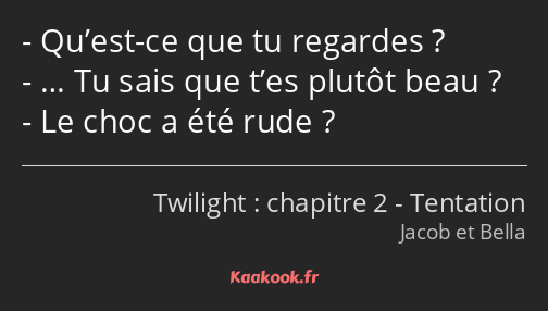 Qu’est-ce que tu regardes ? … Tu sais que t’es plutôt beau ? Le choc a été rude ?