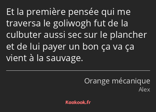 Et la première pensée qui me traversa le goliwogh fut de la culbuter aussi sec sur le plancher et…