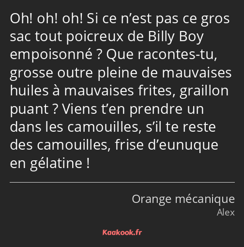 Oh! oh! oh! Si ce n’est pas ce gros sac tout poicreux de Billy Boy empoisonné ? Que racontes-tu…