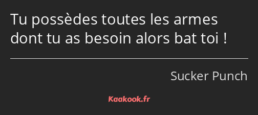 Tu possèdes toutes les armes dont tu as besoin alors bat toi !