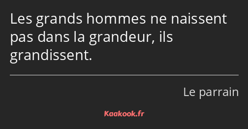 Les grands hommes ne naissent pas dans la grandeur, ils grandissent.