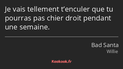 Je vais tellement t’enculer que tu pourras pas chier droit pendant une semaine.