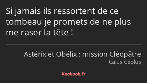 Si jamais ils ressortent de ce tombeau je promets de ne plus me raser la tête !