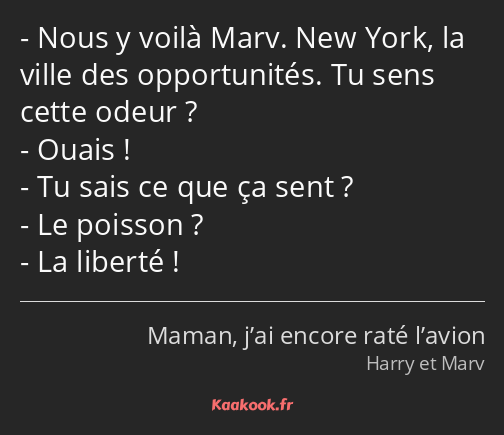 Nous y voilà Marv. New York, la ville des opportunités. Tu sens cette odeur ? Ouais ! Tu sais ce…