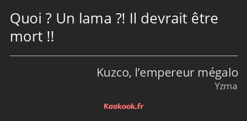 Quoi ? Un lama ?! Il devrait être mort !!