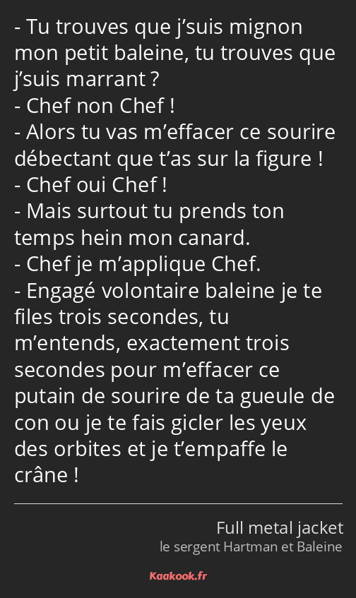 Tu trouves que j’suis mignon mon petit baleine, tu trouves que j’suis marrant ? Chef non Chef…