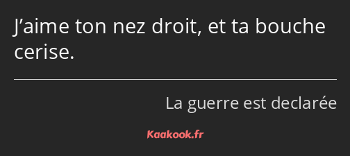 J’aime ton nez droit, et ta bouche cerise.