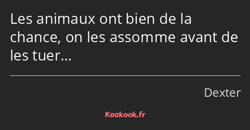 Les animaux ont bien de la chance, on les assomme avant de les tuer…