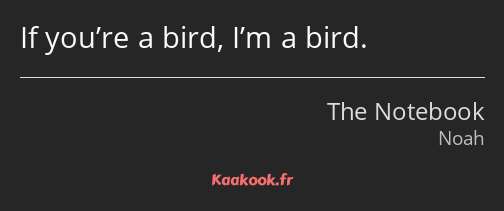 If you’re a bird, I’m a bird.