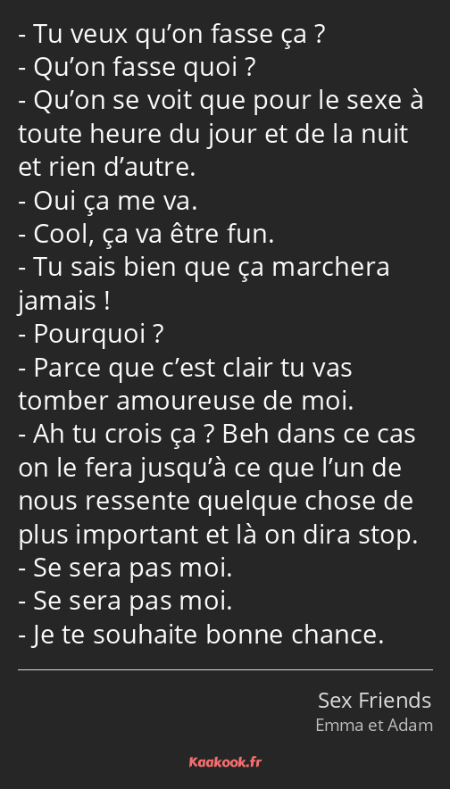 Tu veux qu’on fasse ça ? Qu’on fasse quoi ? Qu’on se voit que pour le sexe à toute heure du jour et…