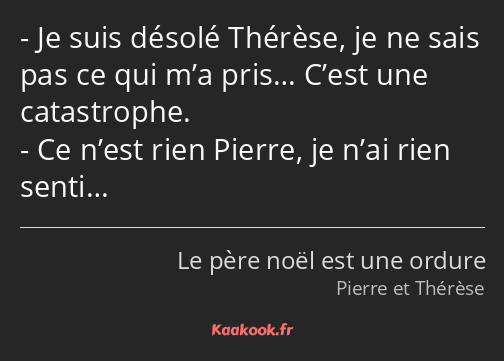 Je suis désolé Thérèse, je ne sais pas ce qui m’a pris… C’est une catastrophe. Ce n’est rien Pierre…