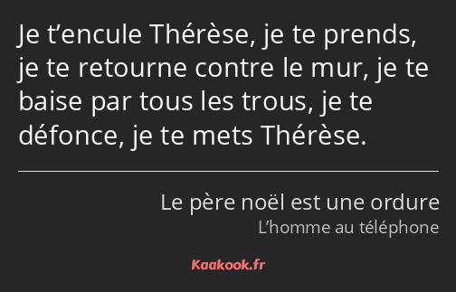 Je t’encule Thérèse, je te prends, je te retourne contre le mur, je te baise par tous les trous, je…