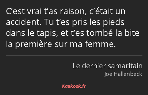 C’est vrai t’as raison, c’était un accident. Tu t’es pris les pieds dans le tapis, et t’es tombé la…