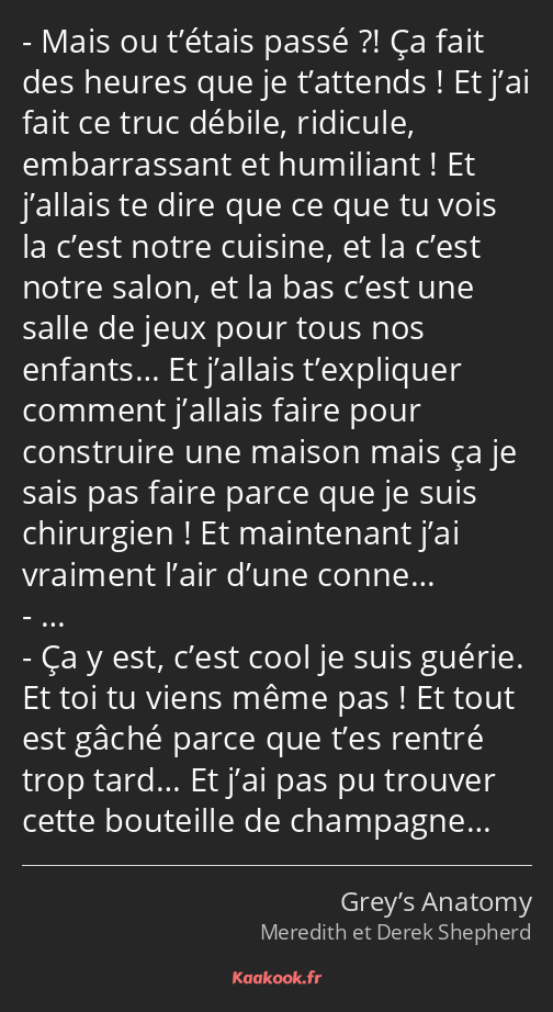 Mais ou t’étais passé ?! Ça fait des heures que je t’attends ! Et j’ai fait ce truc débile…