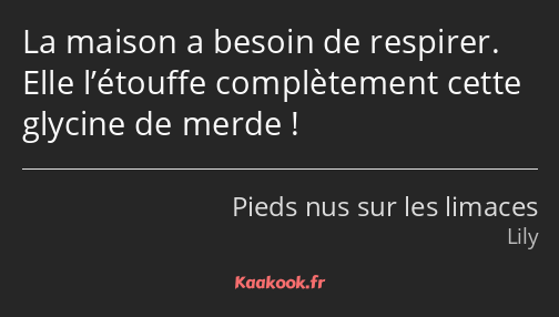 La maison a besoin de respirer. Elle l’étouffe complètement cette glycine de merde !