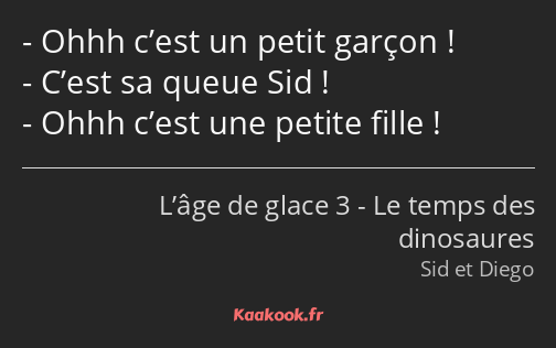 Ohhh c’est un petit garçon ! C’est sa queue Sid ! Ohhh c’est une petite fille !