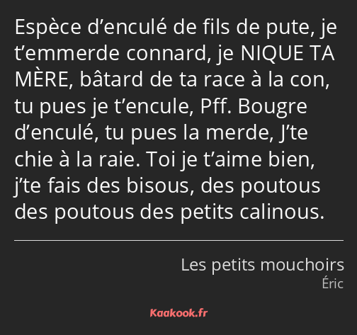 Espèce d’enculé de fils de pute, je t’emmerde connard, je NIQUE TA MÈRE, bâtard de ta race à la con…