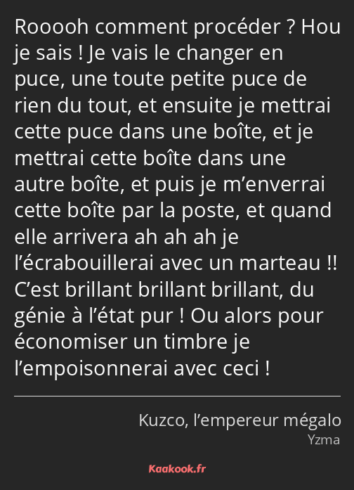 Rooooh comment procéder ? Hou je sais ! Je vais le changer en puce, une toute petite puce de rien…