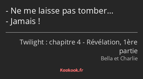 Ne me laisse pas tomber… Jamais !