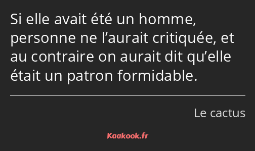 Si elle avait été un homme, personne ne l’aurait critiquée, et au contraire on aurait dit qu’elle…