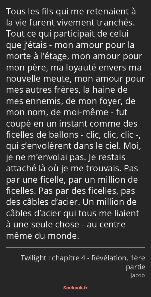 Tous les fils qui me retenaient à la vie furent vivement tranchés. Tout ce qui participait de celui…